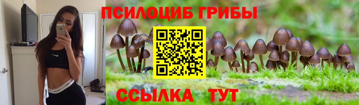 Псилоцибиновые грибы Magic Shrooms  продажа наркотиков  Златоуст  Вход с VPN 