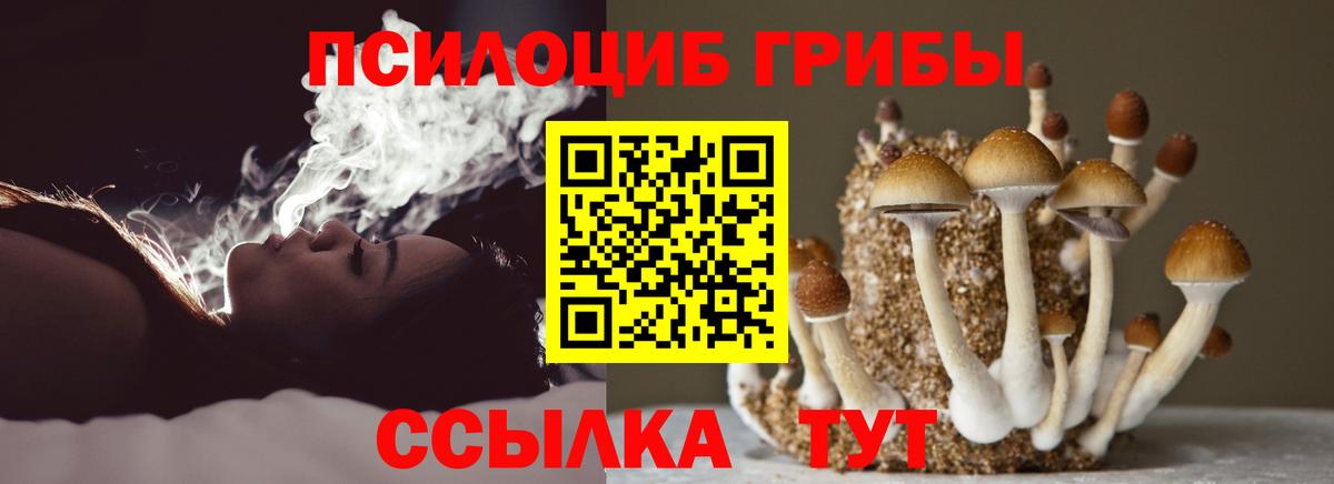 Псилоцибиновые грибы Psilocybe Златоуст